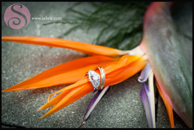 Fort Myers Detail Wedding Photographer